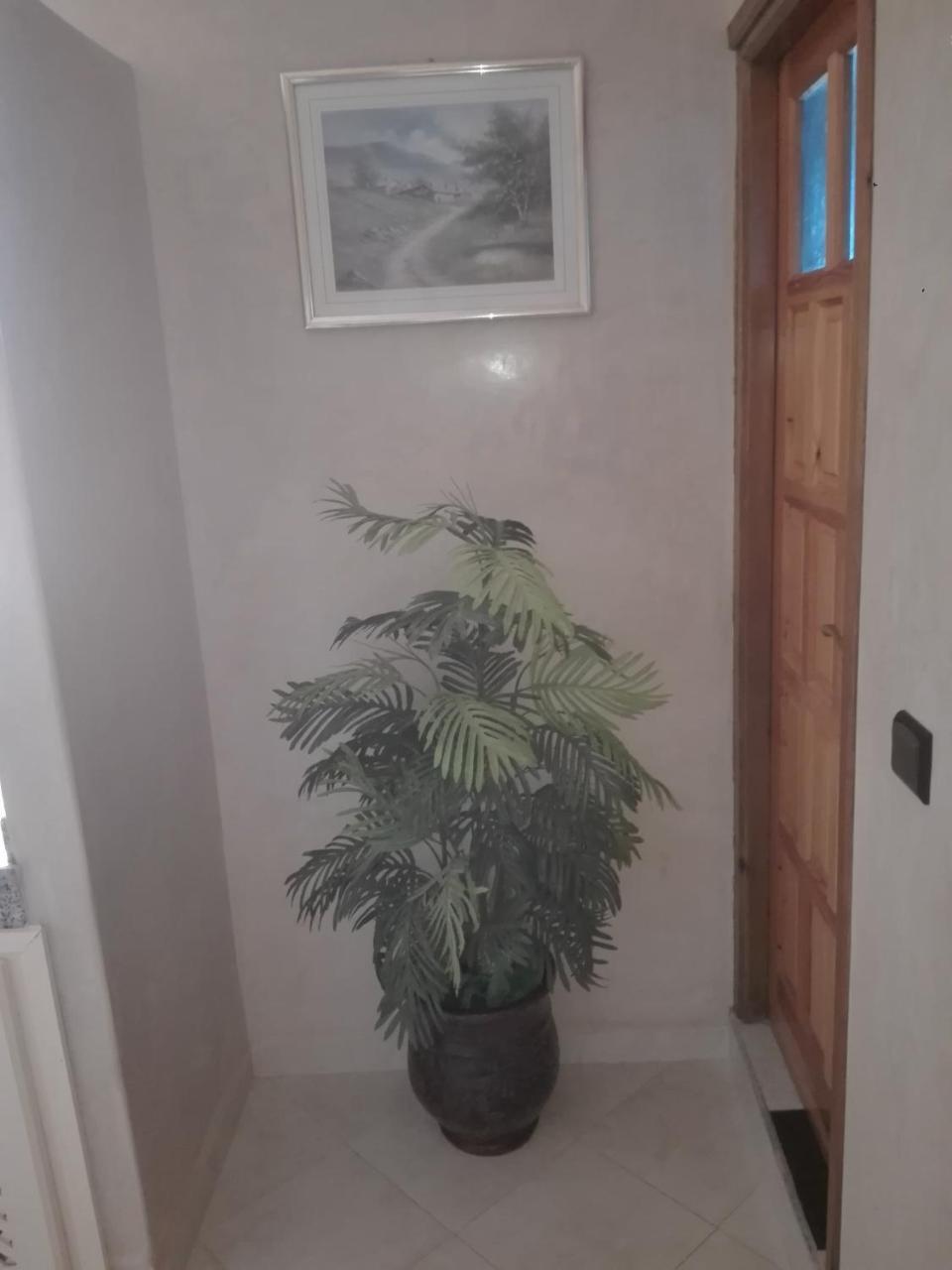 Asklou Appartement à Mirleft Extérieur photo